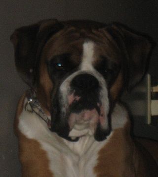 Oscar