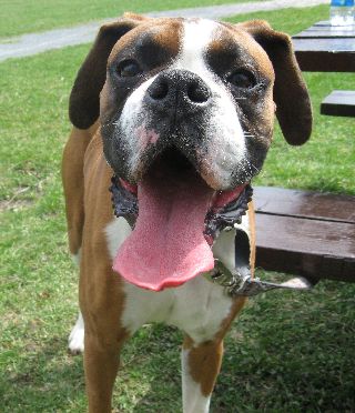 Oscar