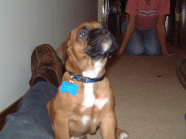 Oscar1