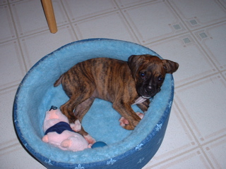 oSCAR_AND_kIDS_012