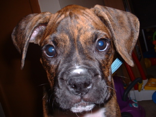 oSCAR_AND_kIDS_029