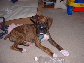 oSCAR_AND_kIDS_042