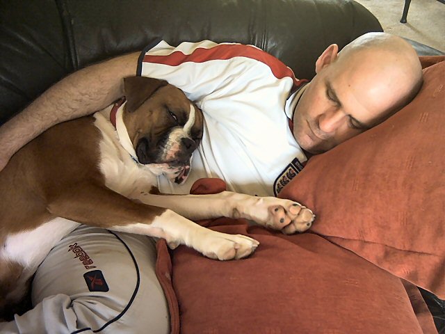 oscar_bald
