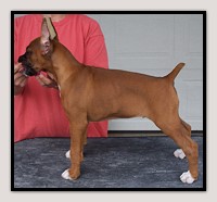 Oskar 8wks