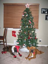 Oskar and Bella (Santa and Reindeer) 3