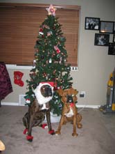 Oskar and Bella (Santa and Reindeer)