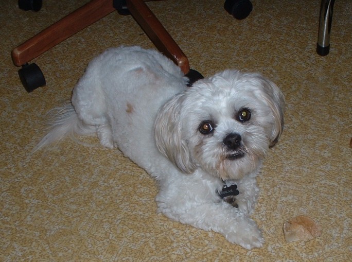 Oskar