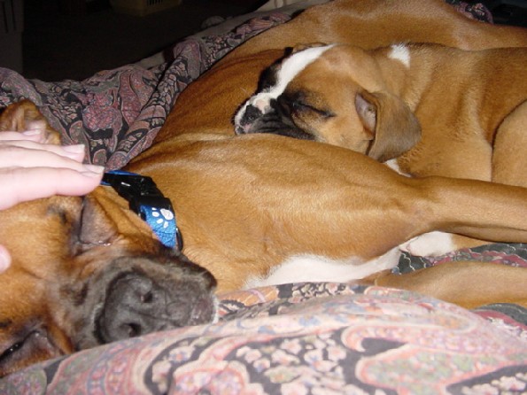 Otis and big Sis