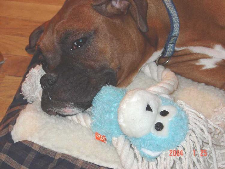Otis and Monkey