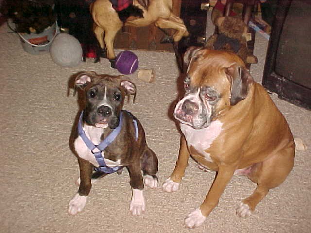Otis babysitting Otto