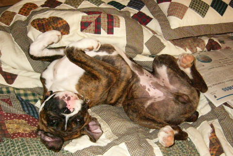 Otis chillin'