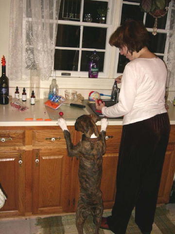 Otis helping out in the kitchen