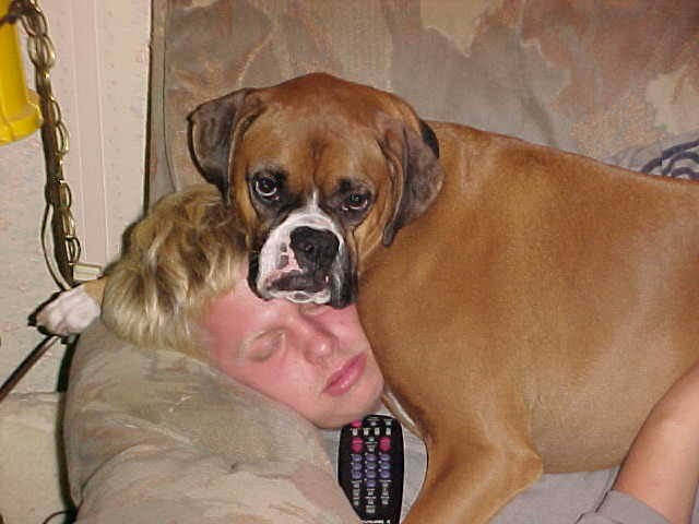 Otis sleeping on Brandon