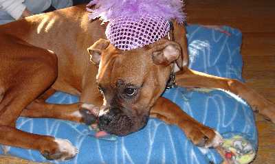 Otis wearing a Feathered Cap