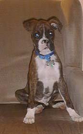 Otis14wks