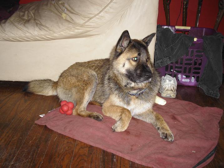Otis3