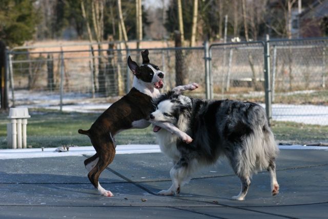 Ouch! Let go of my leg!