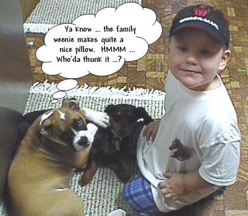 Our 3 babies ... Brock, Abby & Petals