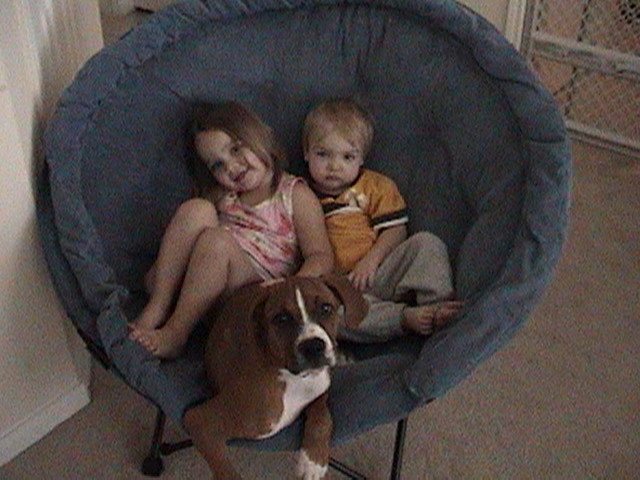 Our 3 babies
