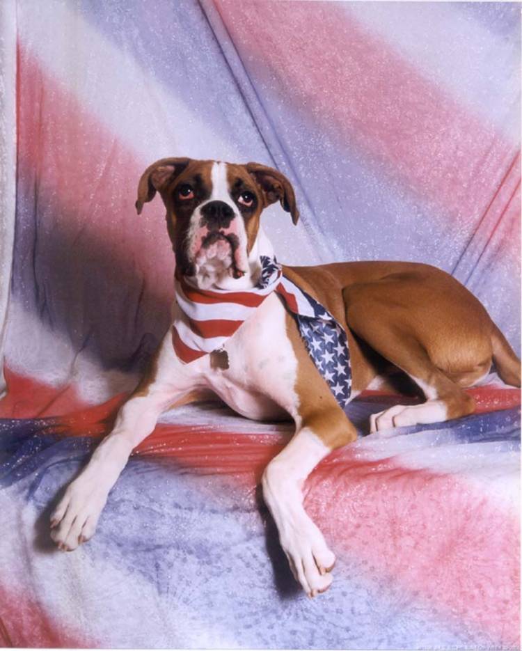 Our All American Legend