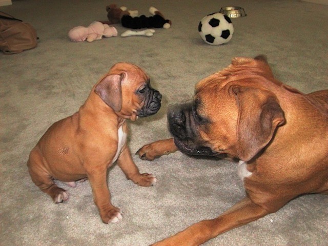 Our Babies!