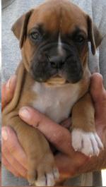 Our baby at 4 weeks