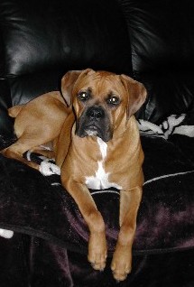 Our Baby Boy