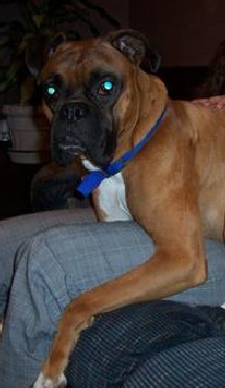 Our Baby Boy