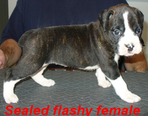Our baby girl