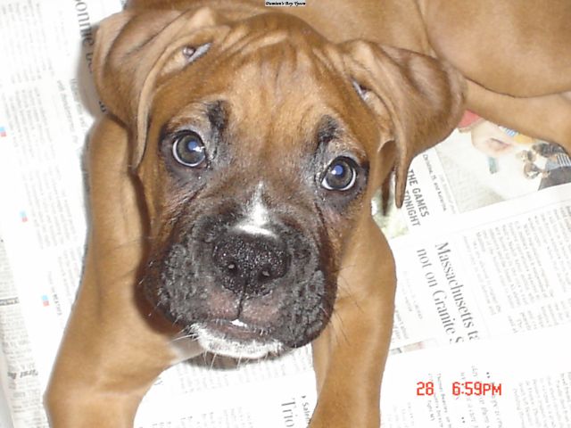 Our Baby Ty