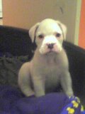 our baby