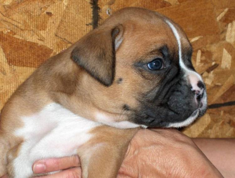 Our baby