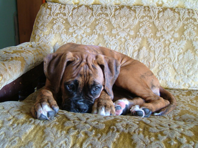 our-baby