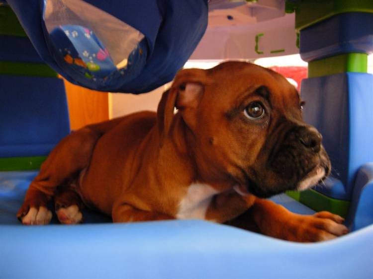 Our Baby!