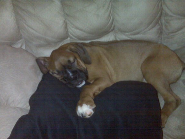 Our baby