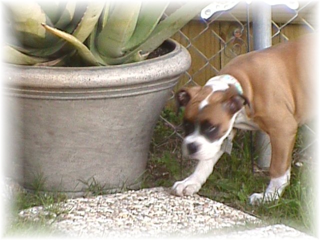 Our beautiful Abby Gayle...