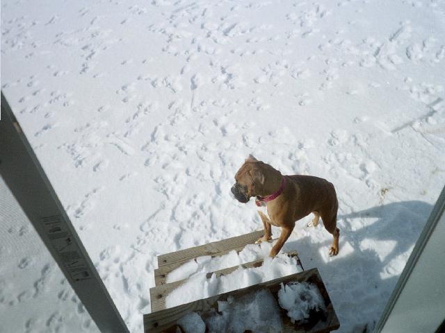 Our big snow Dec 04