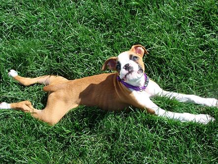 Our Blaze!!