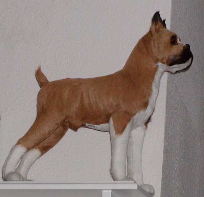 Our Boxer statue!
