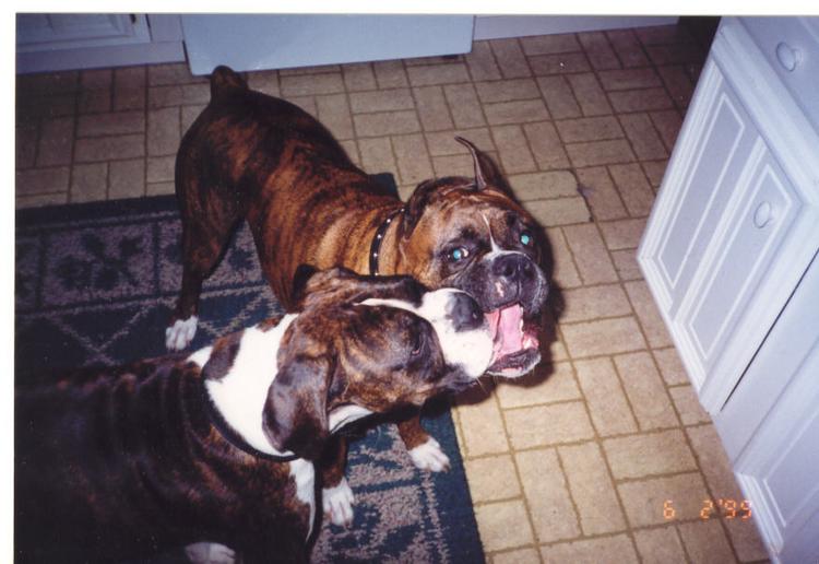 our boys