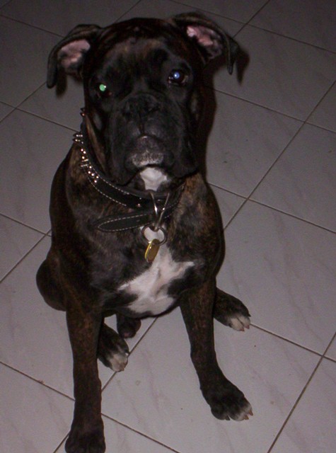 Our Cassius!
