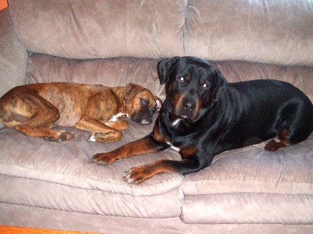 Our couch!