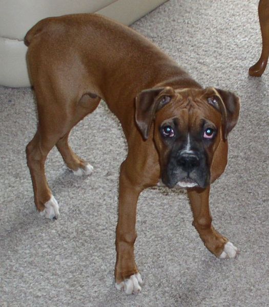 Our Foster