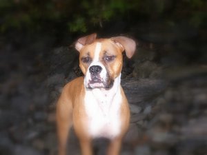 Our fur baby