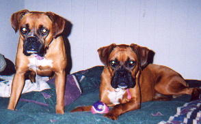 our girls
