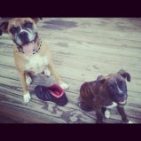 Our Girls