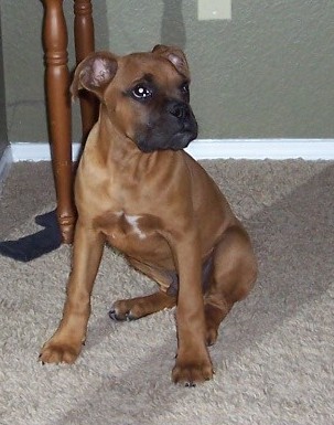 Our handsome boy!