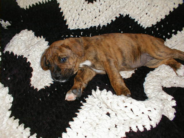 our lacie