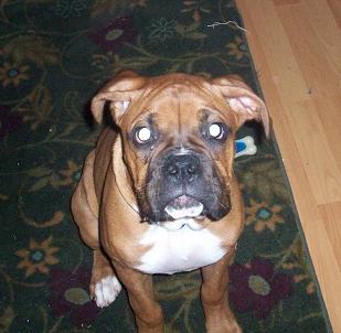 Our Lady Lexi