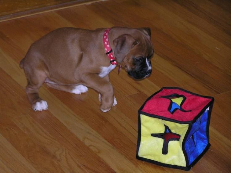 Our little baby playing